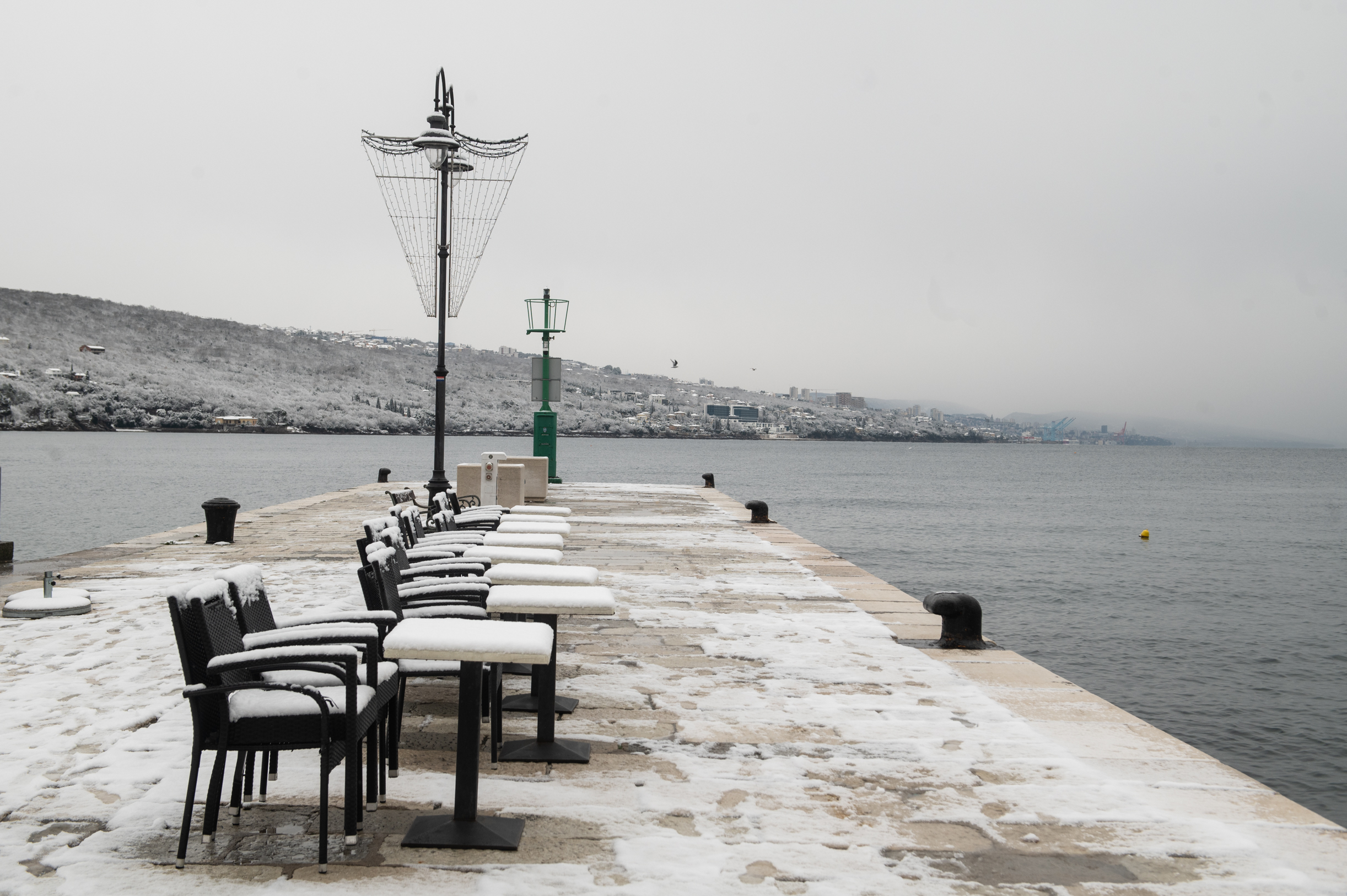 Kartulina iz Voloskog /  Foto: N. Blagojević / M. Gracin