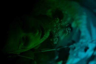 Foto Kristina Barišić