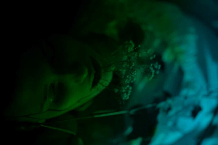 Foto Kristina Barišić