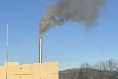 Energy Pellets / Foto Marinko Krmpotić