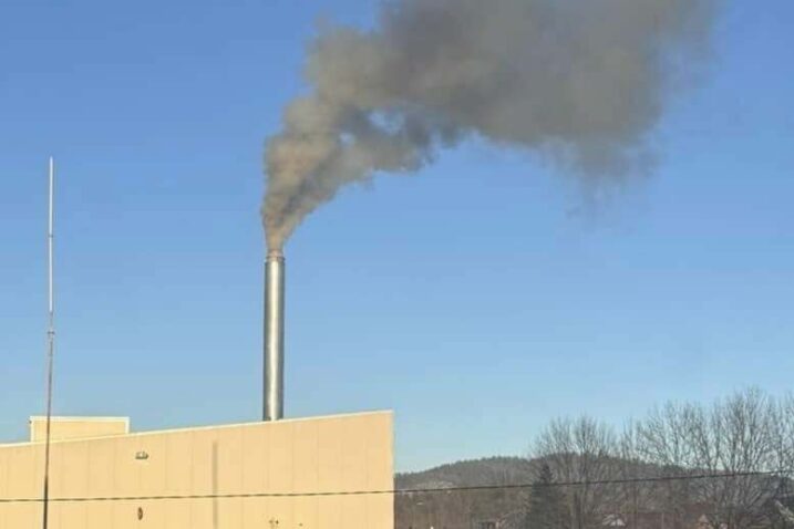 Energy Pellets / Foto Marinko Krmpotić