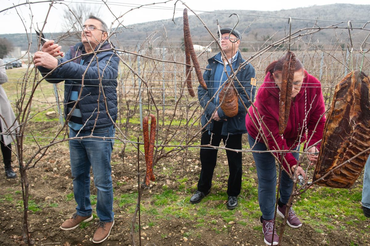 Foto Nikola Blagojević