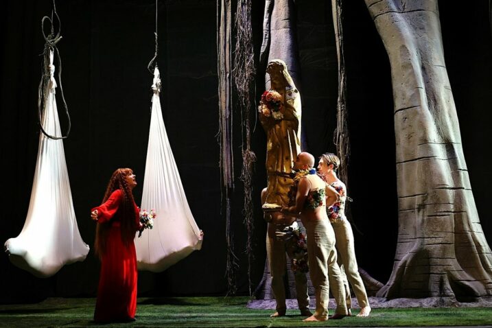 Foto Dražen Šokčević