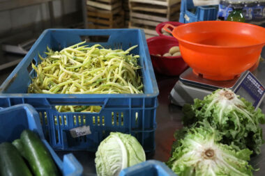 Photo: Edina Zuko/PIXSELL