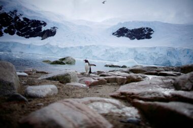 Foto Reuters/Alexandre Meneghini/File Photo
