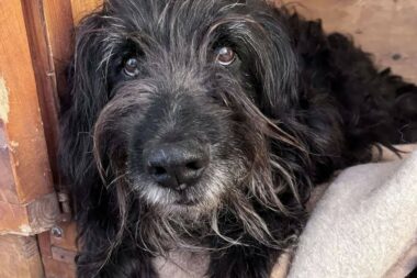 Bundaš / Foto Facebook