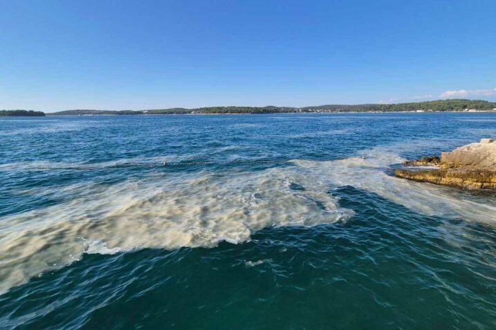 Nastanak morske sluzi bio je usko povezan s porastom temperature mora / Foto IRB