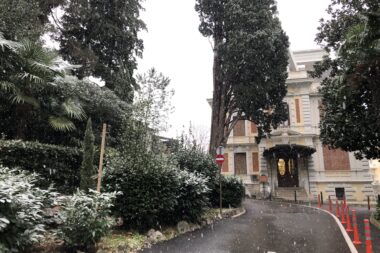 Foto Slavka Aničić