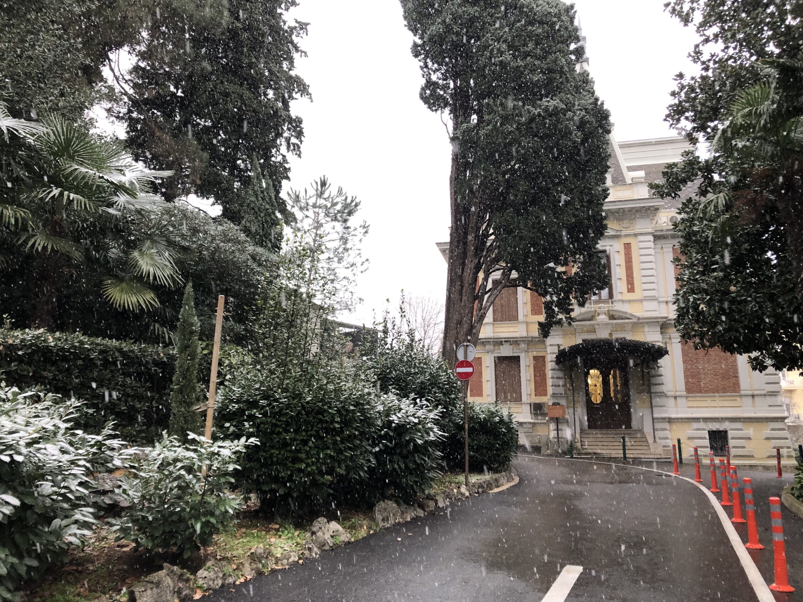 Foto Slavka Aničić