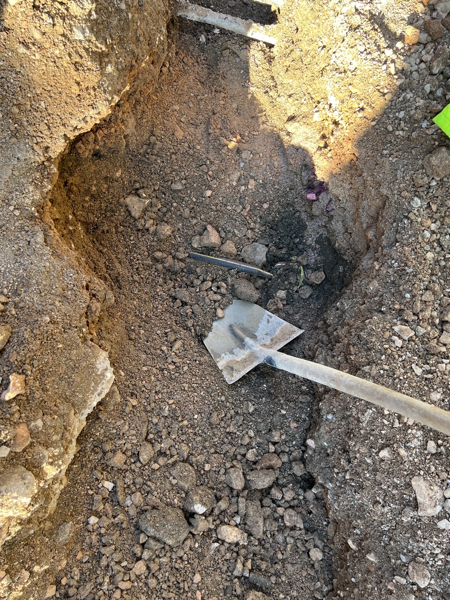 Foto Nikola Blagojević