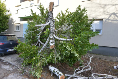 Photo: Hrvoje Jelavic/PIXSELL