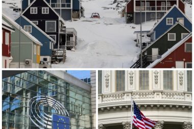 Colllage: Reuters / Unsplash / Pexels