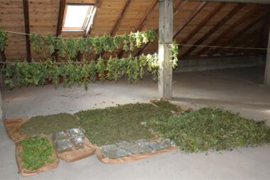 Foto PU virovitičko-podravska