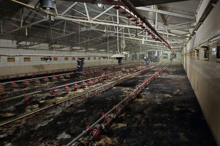 Foto DVD Veliki Bukovec