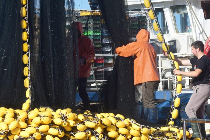 Ribari opet suočeni sa zabranama i ograničenjima lova na srdele i inćune