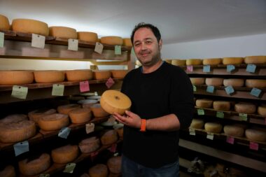 Proizvodnji sira dobro će doći poticaji / Nl arhiva