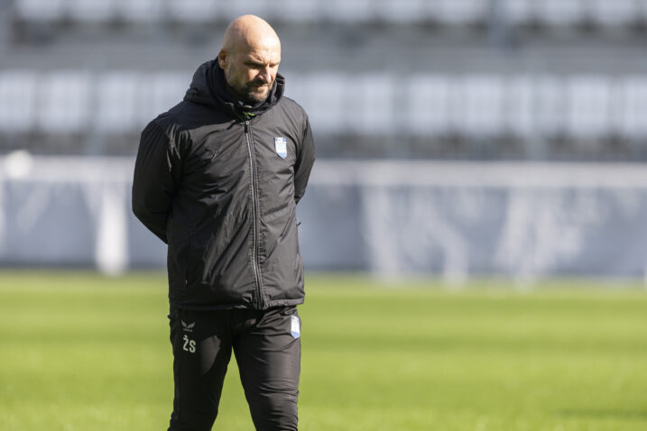 Željko Sopić/Foto PIXSELL