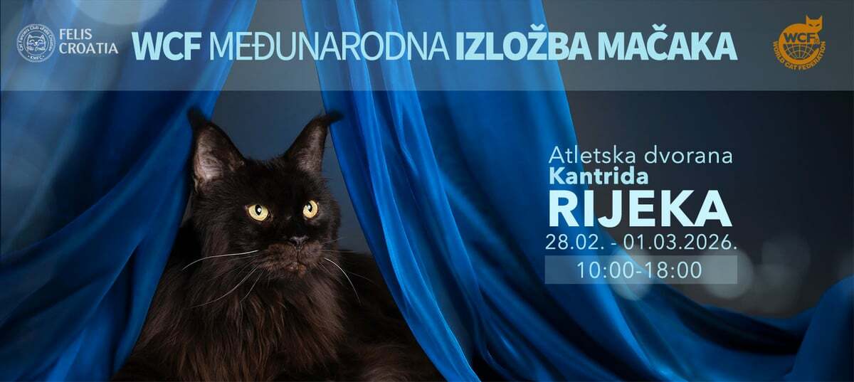 WCF Međunarodna izložba mačaka krajem mjeseca na Kantridi