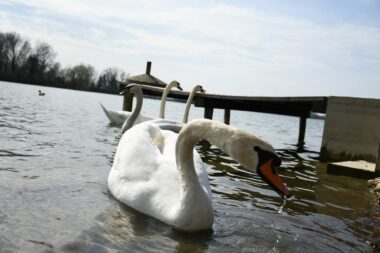 Foto Damir Spehar/PIXSELL