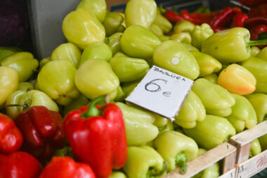 Foto Nikola Blagojević