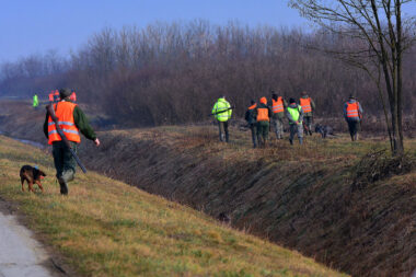 Ilustracija Ivica Galovič PIXSELL