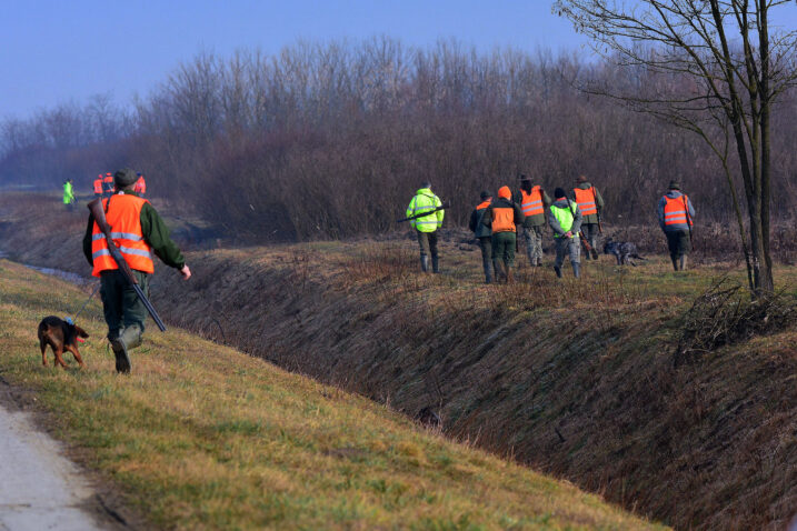 Ilustracija Ivica Galovič PIXSELL