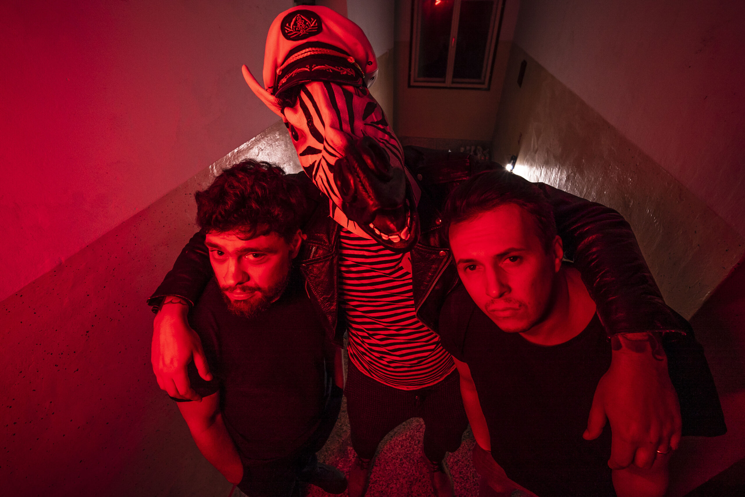 Šiza,Foto: DINKO ŠIMAC