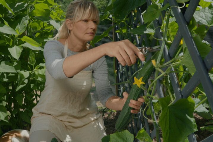 Foto: Nino Šoštarić