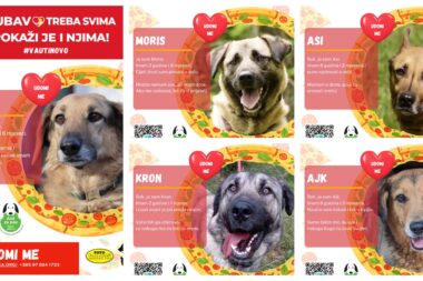 Foto: Konoba Pirati / Foto Kurti