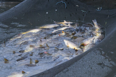 Foto ilustracija: : Damir Špehar / PIXSELL