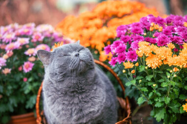 Foto: iStock
