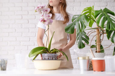 FOTO: iStock