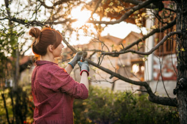 FOTO: iStock
