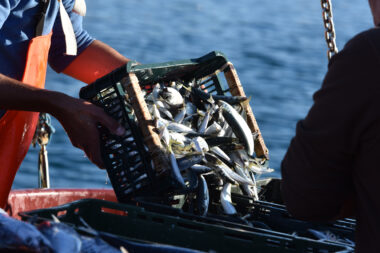 Photo: Hrvoje Jelavic/PIXSELL