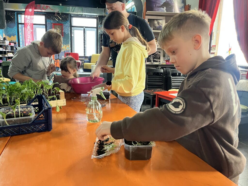 Kružna, Back to the roots, 2026