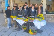 Creski gimnazijalci u akciji za Dan narcisa / Foto Sonja POKUPEC SALKOVIĆ