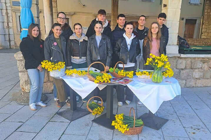 Creski gimnazijalci u akciji za Dan narcisa / Foto Sonja POKUPEC SALKOVIĆ