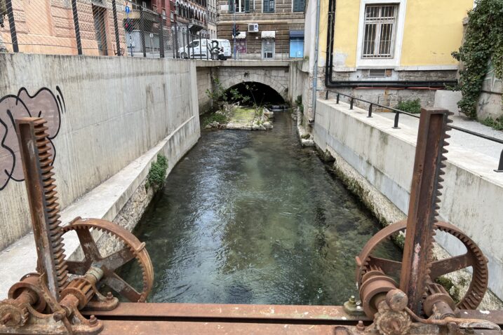 Perilo Brajda / Foto: Nikola Blagojević