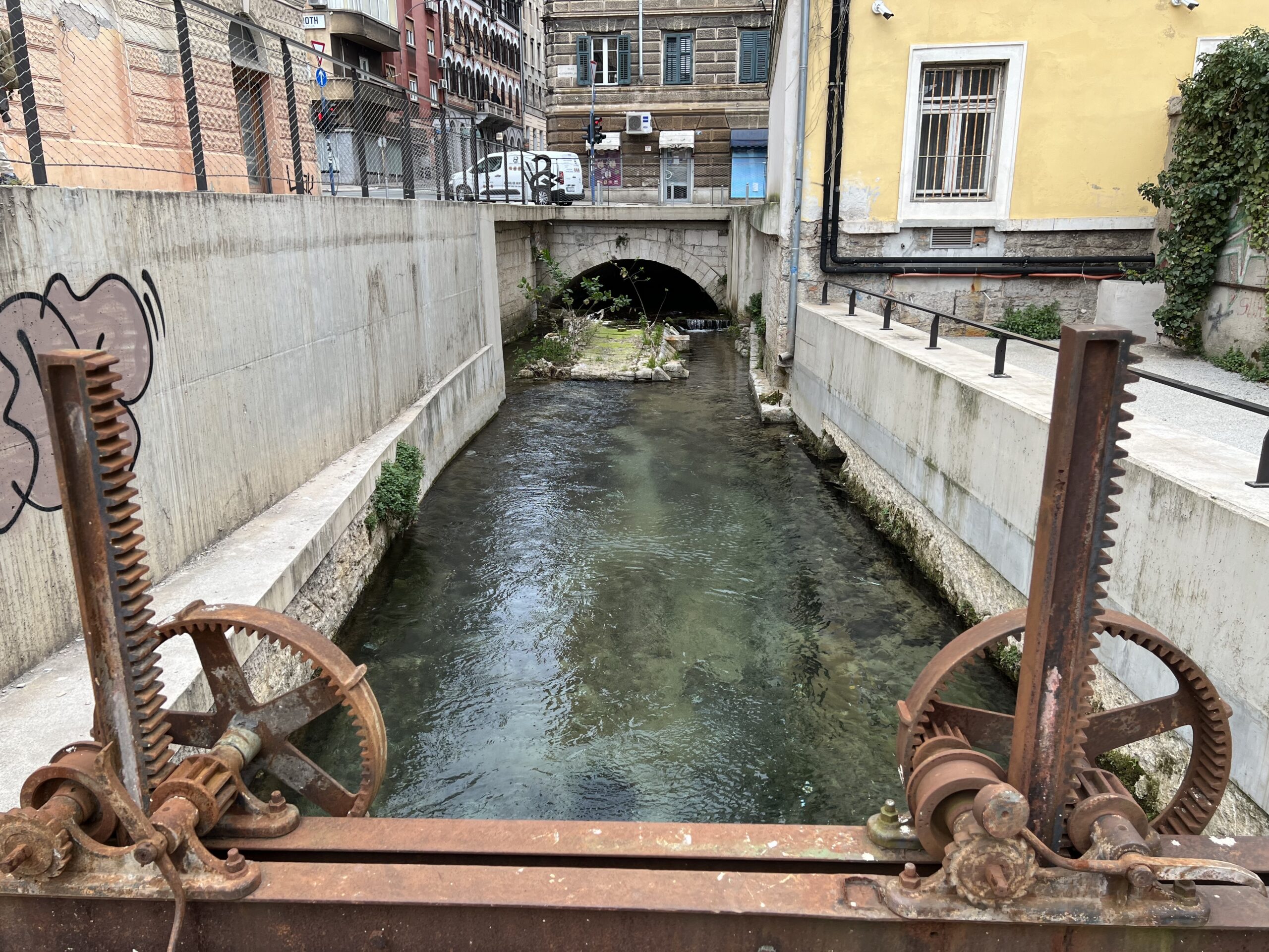 Perilo Brajda / Foto: Nikola Blagojević