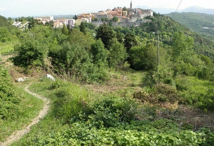 Ilustracija / Foto Branko Biočić