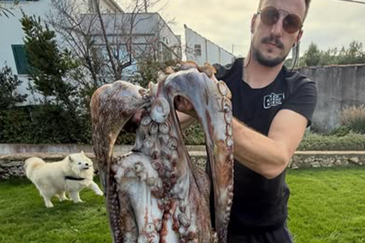 I to se događa – Lovio sipe pa ulovio krakena!