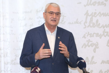 Damir Mandić / Photo: Kristina Stedul Fabac/PIXSELL