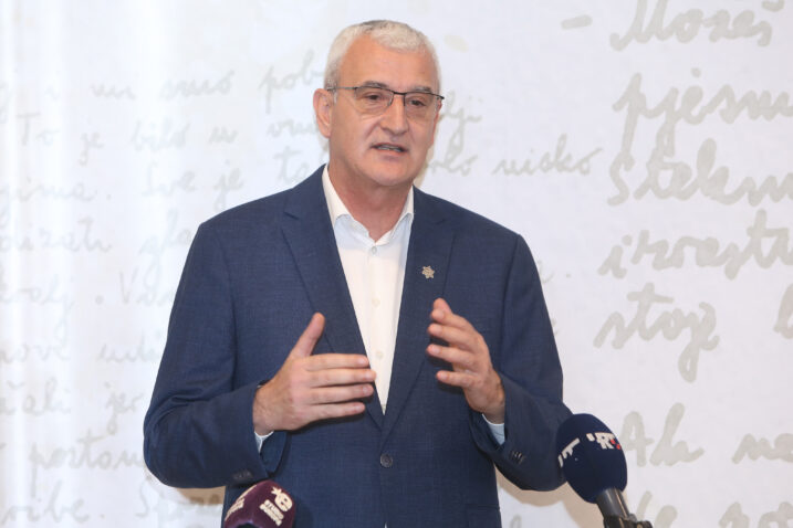 Damir Mandić / Photo: Kristina Stedul Fabac/PIXSELL