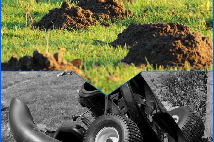 Pixabay; Meineresterampe; Sandid