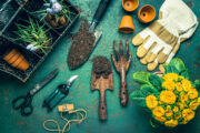 FOTO: iStock