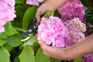 FOTO: iStock