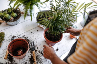 Foto: iStock