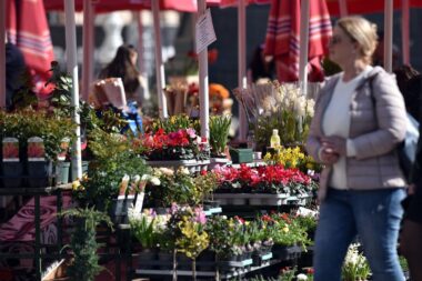 Foto Davor Kovačević