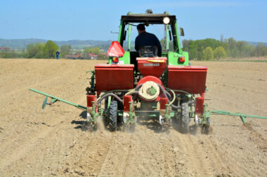 Photo: Damir Spehar/PIXSELL