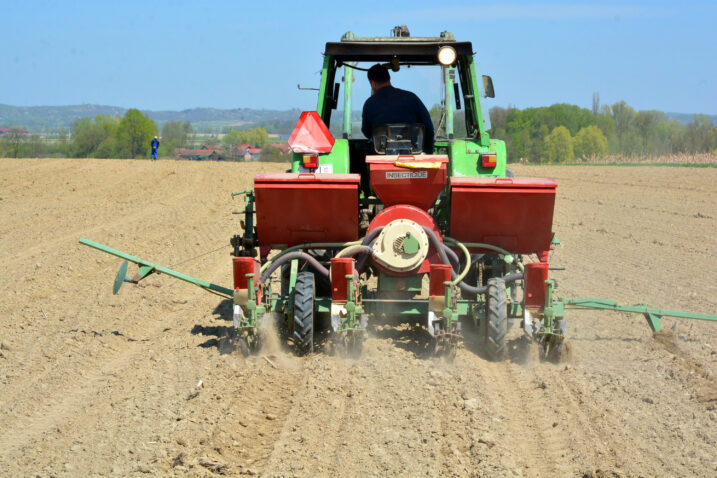 Photo: Damir Spehar/PIXSELL